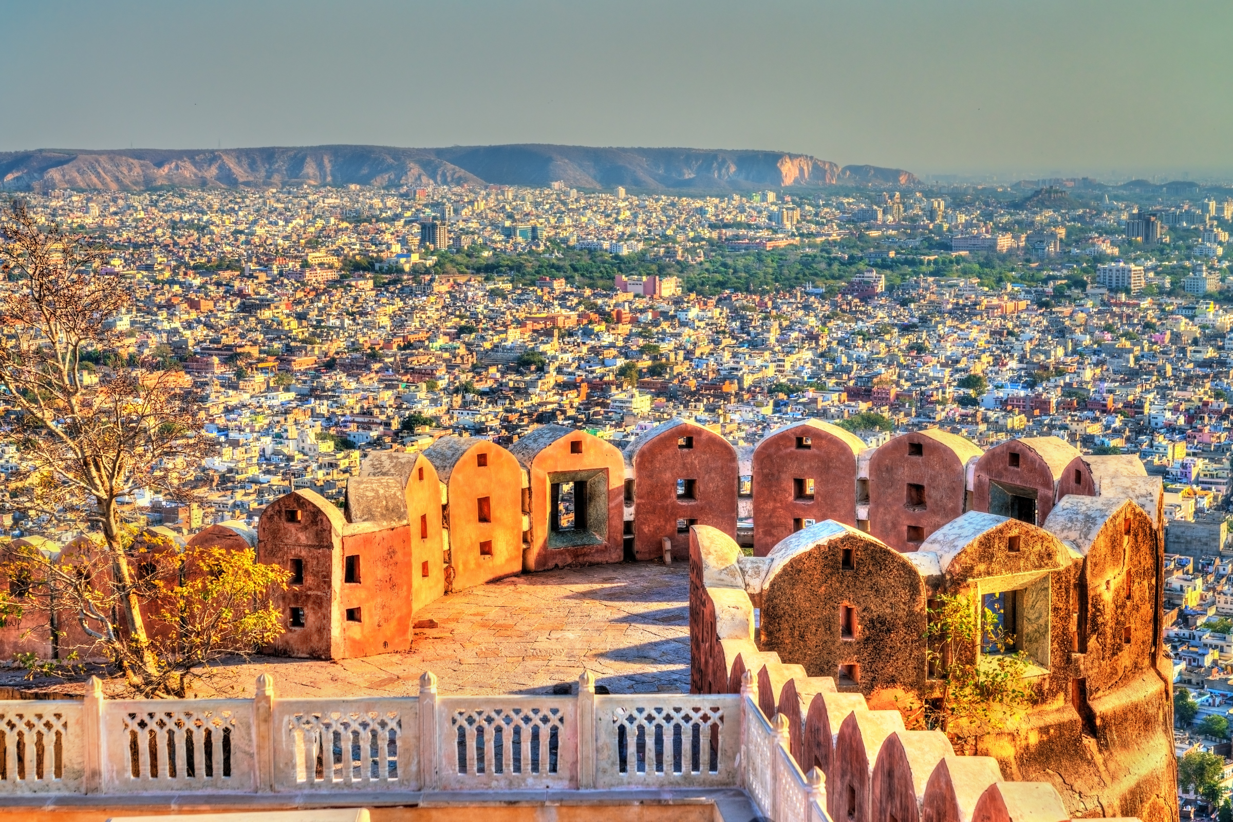 jojawar (3).webp